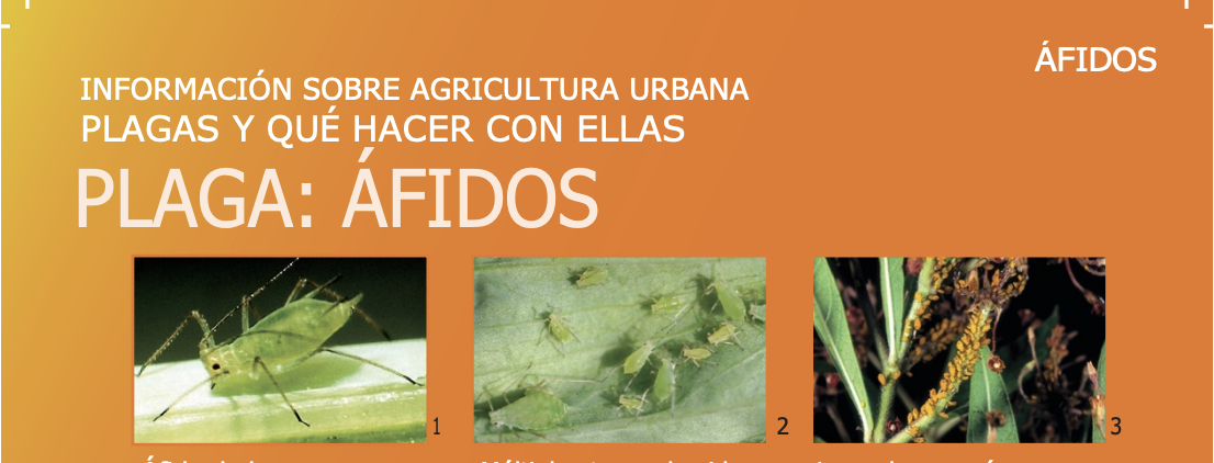 Screenshot 2026-01-27 at 4.28.48 PM.png