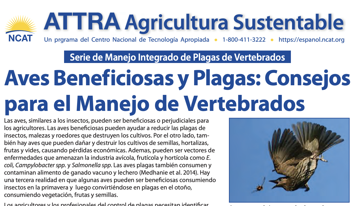 Screenshot 2025-08-08 at 12.04.59 PM.png