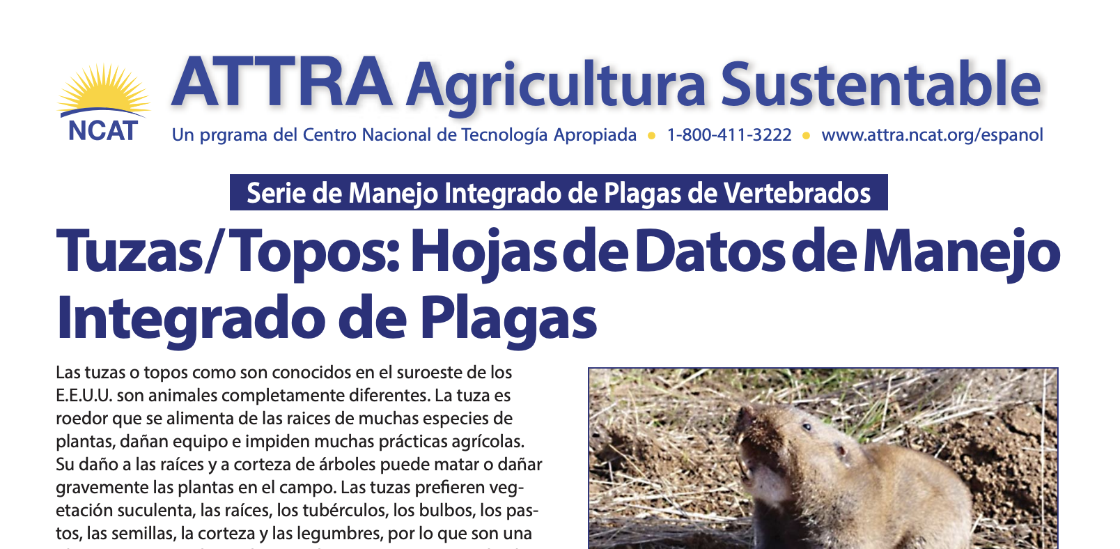 Screenshot 2025-08-06 at 11.30.36 AM.png