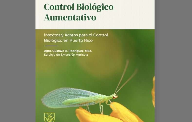 Screenshot 2025-10-17 at 4.42.52 PM.png