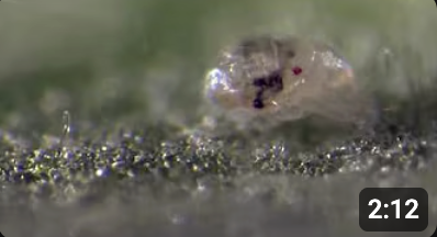 Screenshot 2025-11-19 at 1.13.49 PM.png