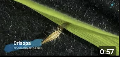 Screenshot 2026-02-06 at 11.39.42 AM.png