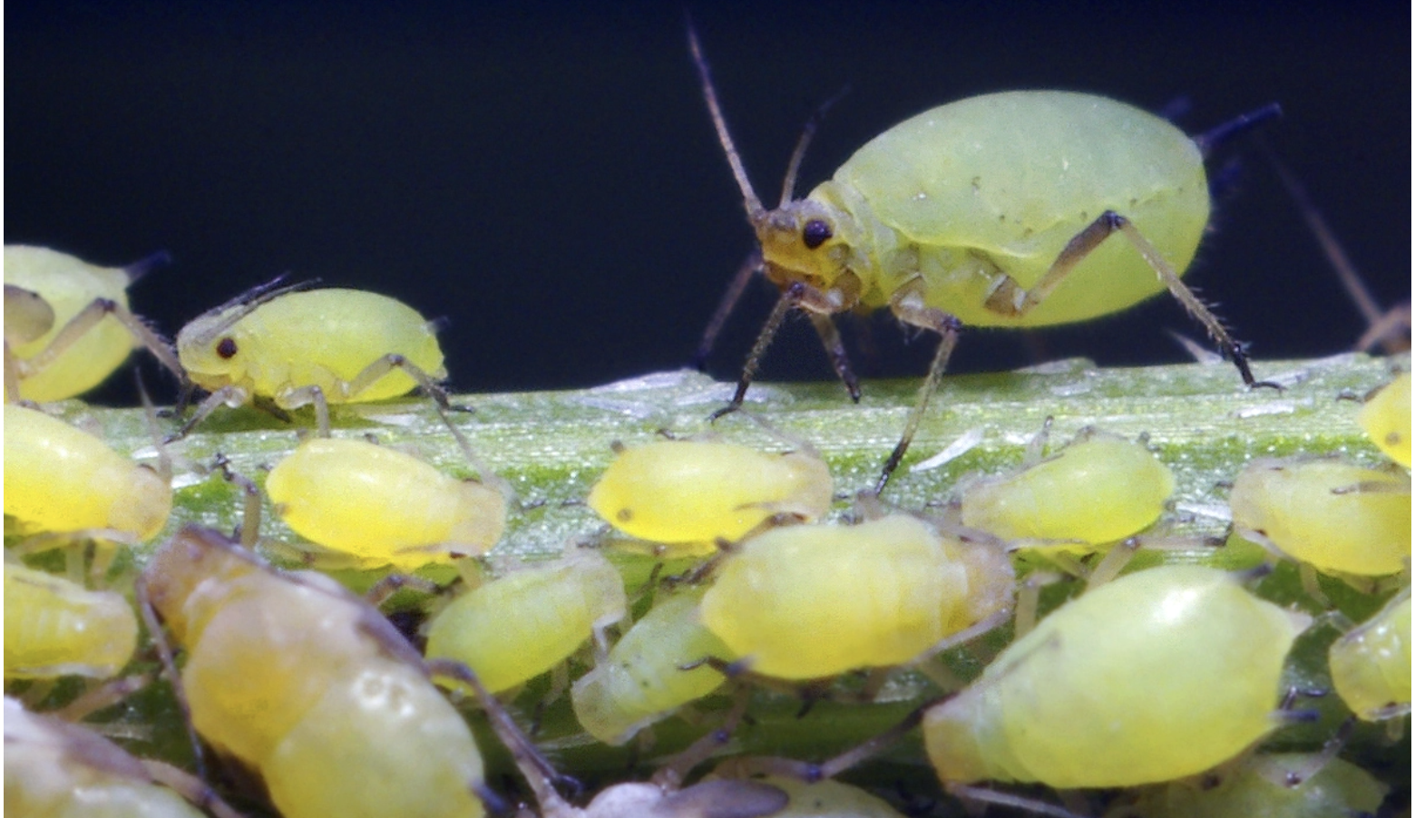 Screenshot 2025-10-02 at 12.56.55 PM.png