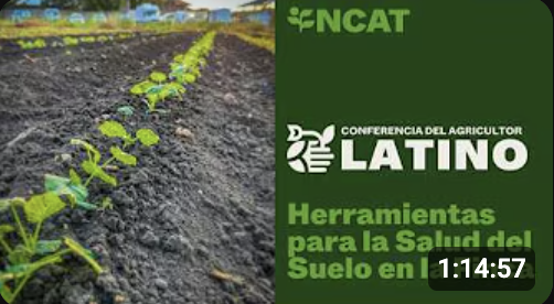 Screenshot 2026-04-06 at 2.31.02 PM.png