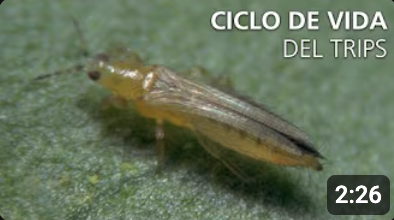 Screenshot 2025-11-19 at 1.20.37 PM.png