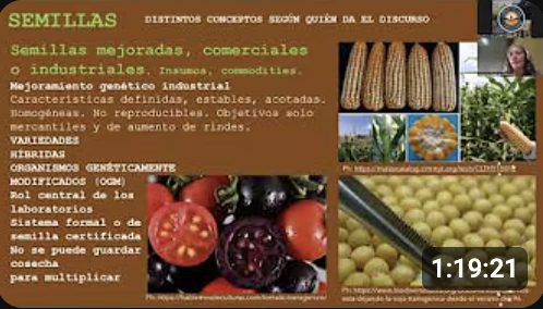 Screenshot 2026-02-25 at 12.12.31 PM.png