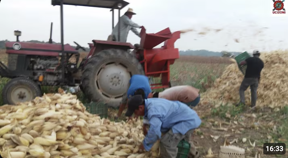 Screenshot 2026-01-23 at 12.44.17 PM.png