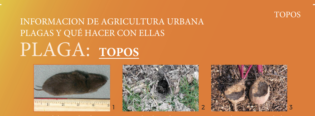 Screenshot 2026-01-27 at 4.22.40 PM.png