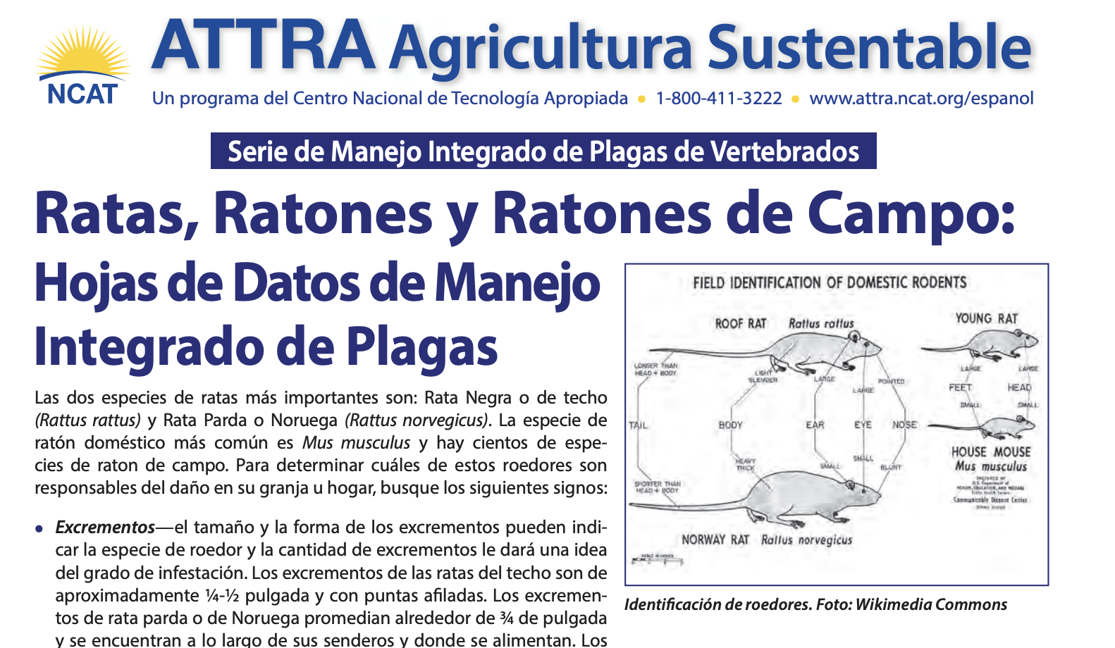 Screenshot 2025-08-08 at 12.18.22 PM.png