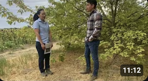 Screenshot 2025-07-24 at 10.16.01 AM.png