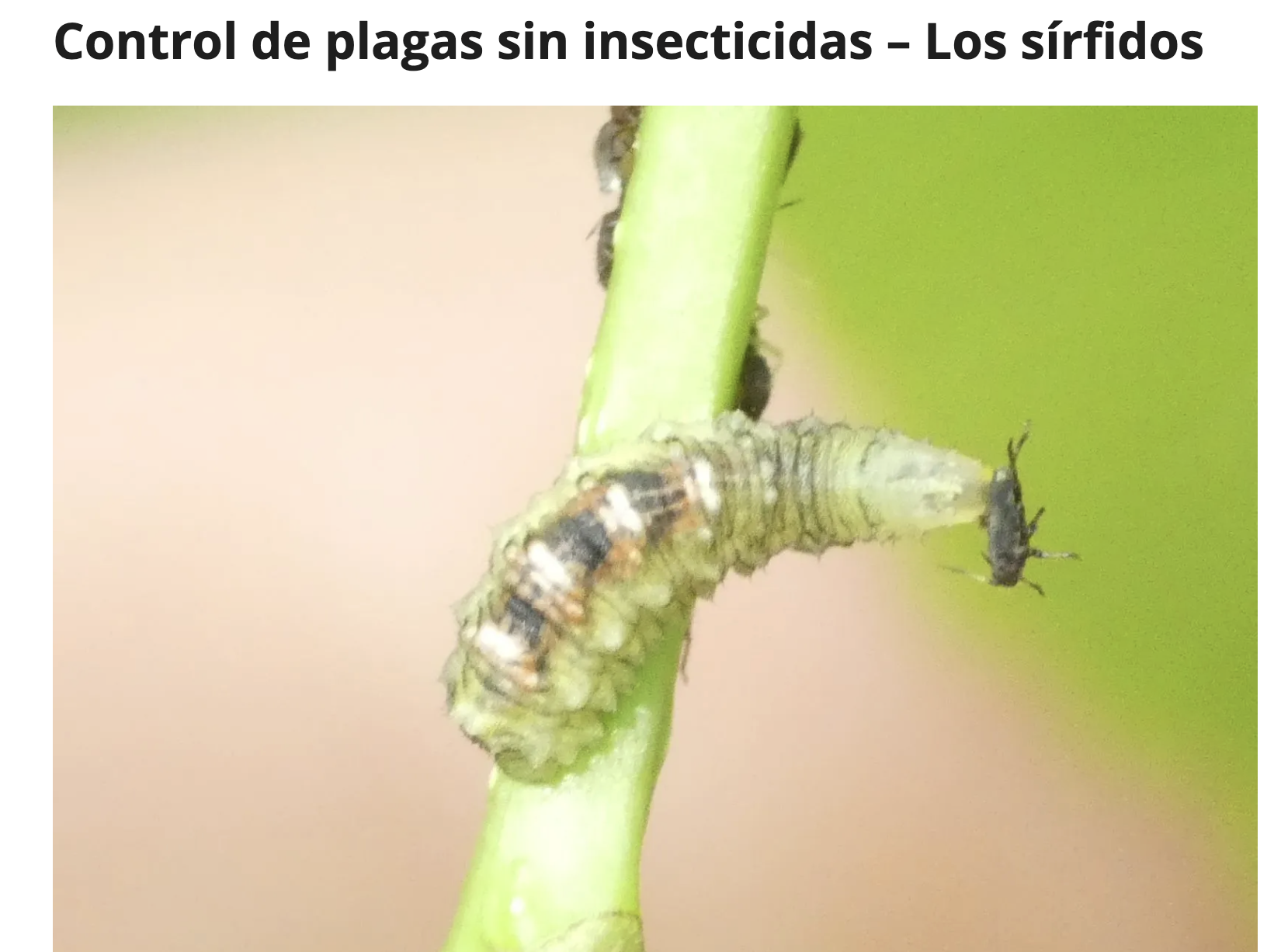 Screenshot 2026-01-27 at 4.46.16 PM.png