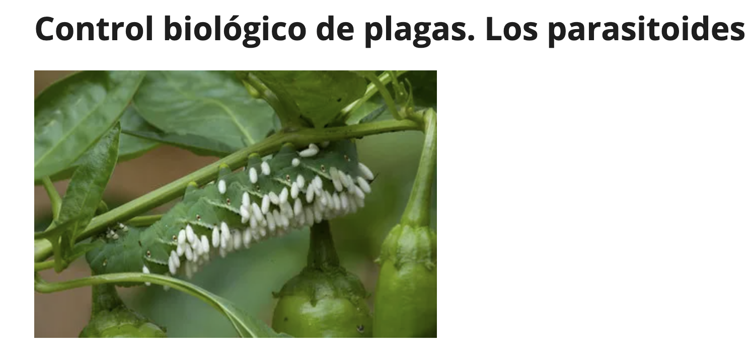 Screenshot 2026-02-06 at 12.41.50 PM.png