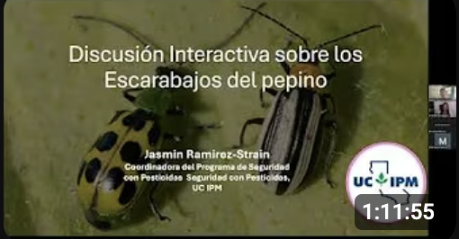 Screenshot 2025-07-21 at 3.08.33 PM.png