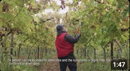 Screenshot 2025-10-15 at 3.36.38 PM.png