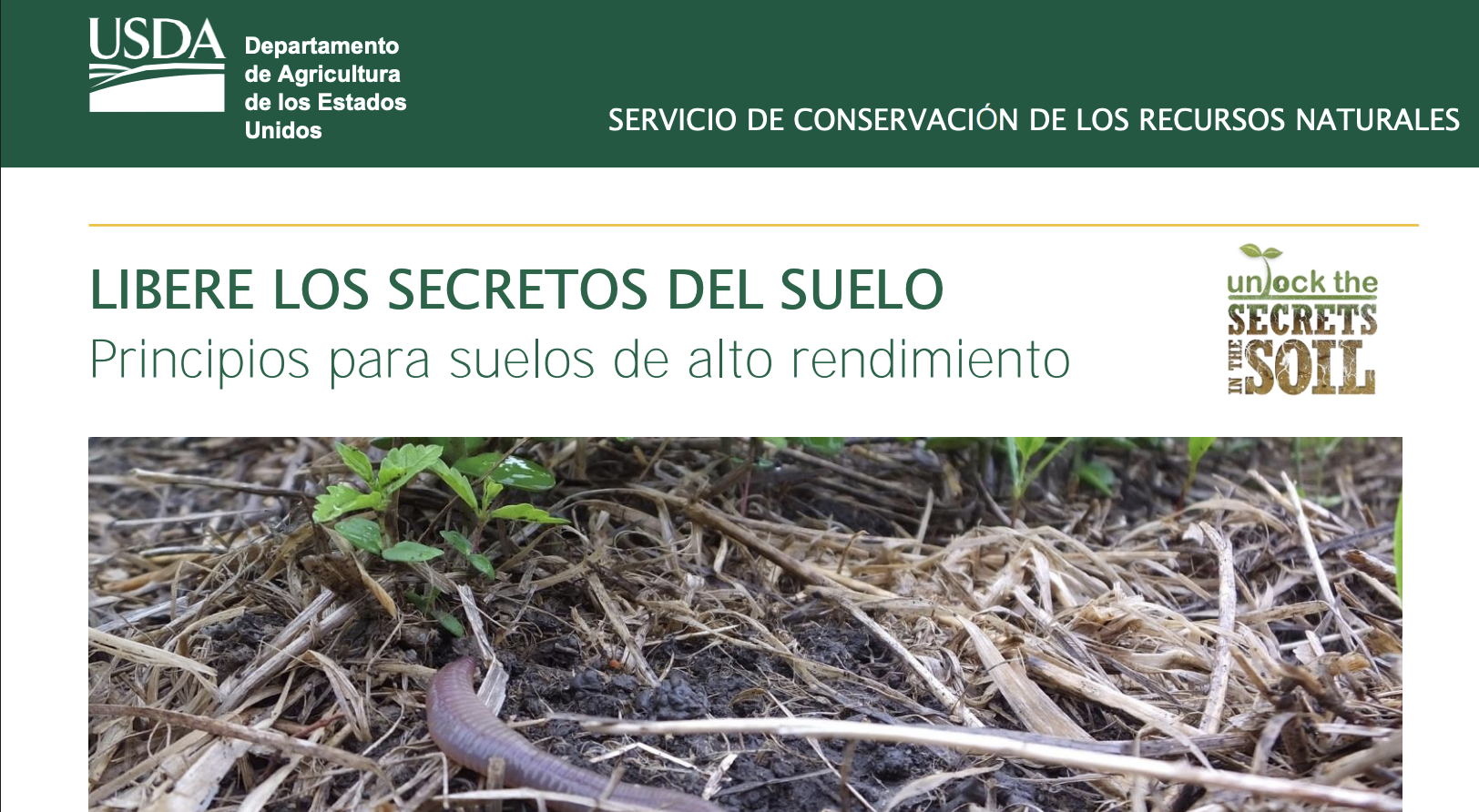 Screenshot 2025-08-01 at 3.20.52 PM.png