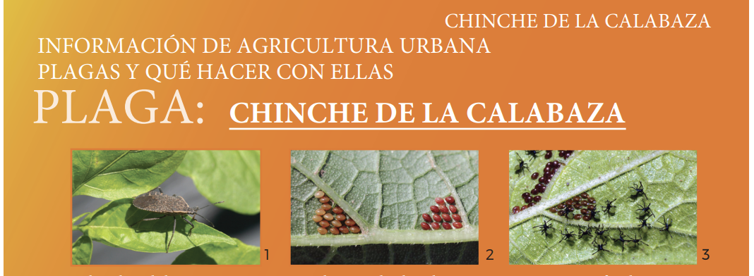 Screenshot 2026-01-27 at 4.07.51 PM.png