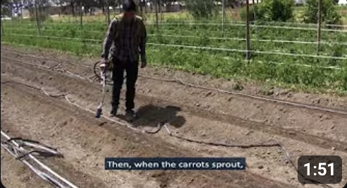 Screenshot 2025-06-26 at 11.04.39 AM.png