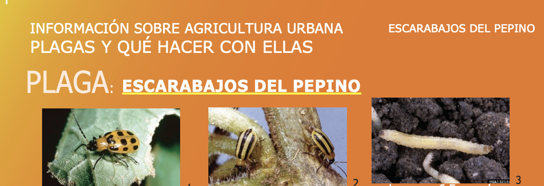 Screenshot 2026-01-27 at 4.51.39 PM.png