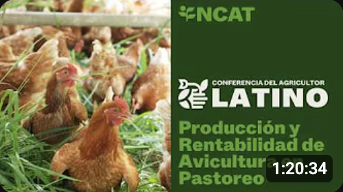 Screenshot 2026-04-06 at 2.32.13 PM.png