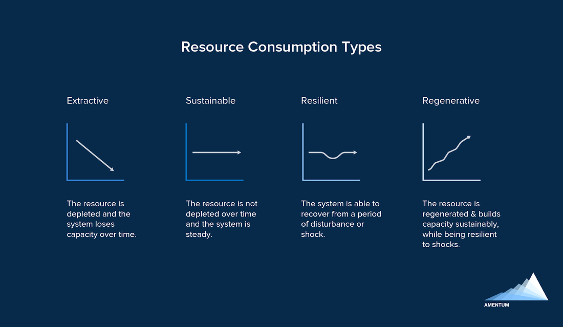 amentum-rapdi consumption-types.png