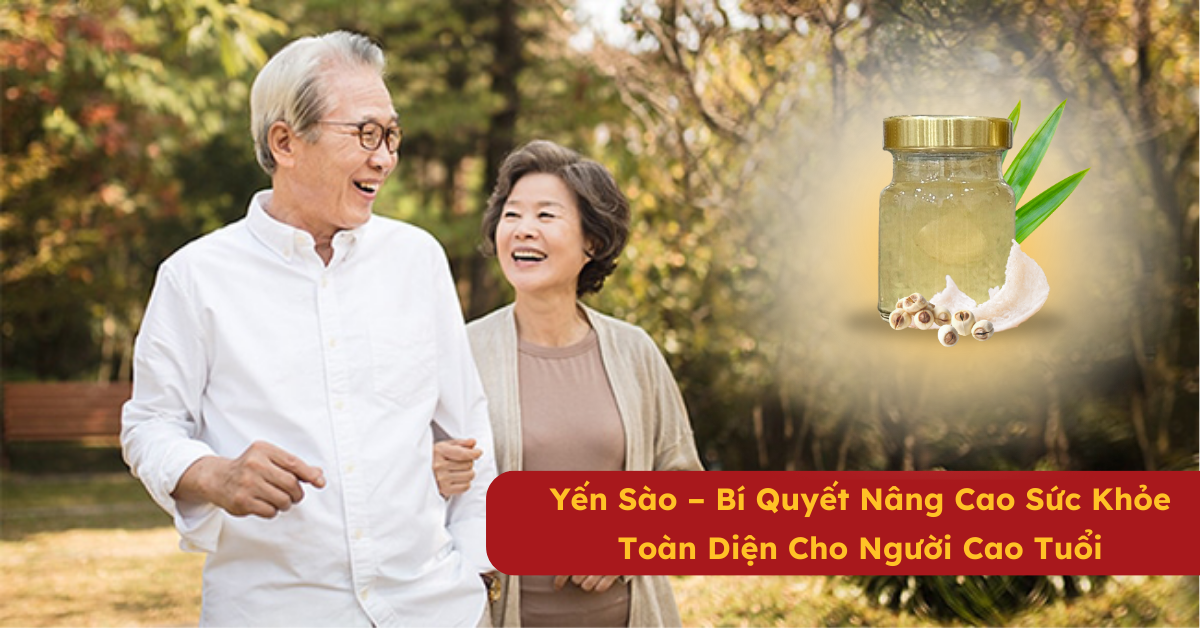Cách sử dụng yến sào cho người cao tuổi.png