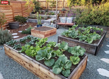 Choosing the Best Materials for Raised Garden Beds ~ Homestead and Chill.png