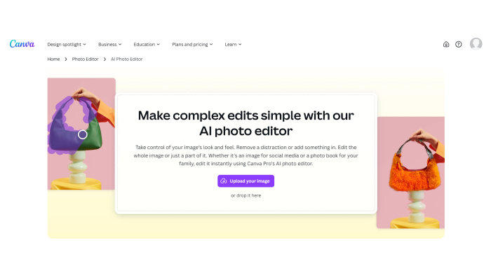 A screenshot of the webpage of Canva’s AI editor for photos.
