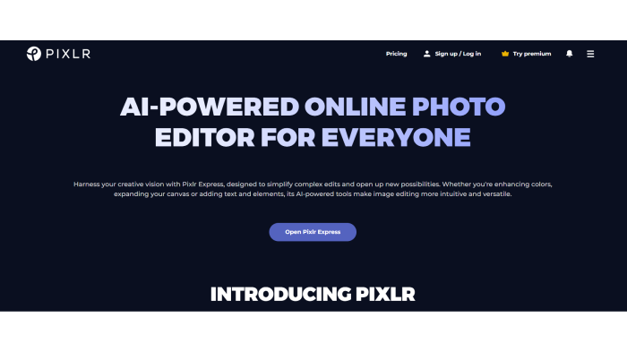 A screenshot of the webpage of Pixlr’s AI-powered online photo editor.
