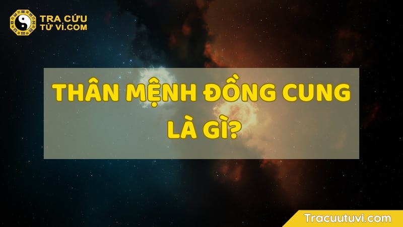 Ứng Dụng Của Cung Mệnh