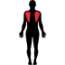 Back.png