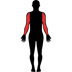 Arms.png