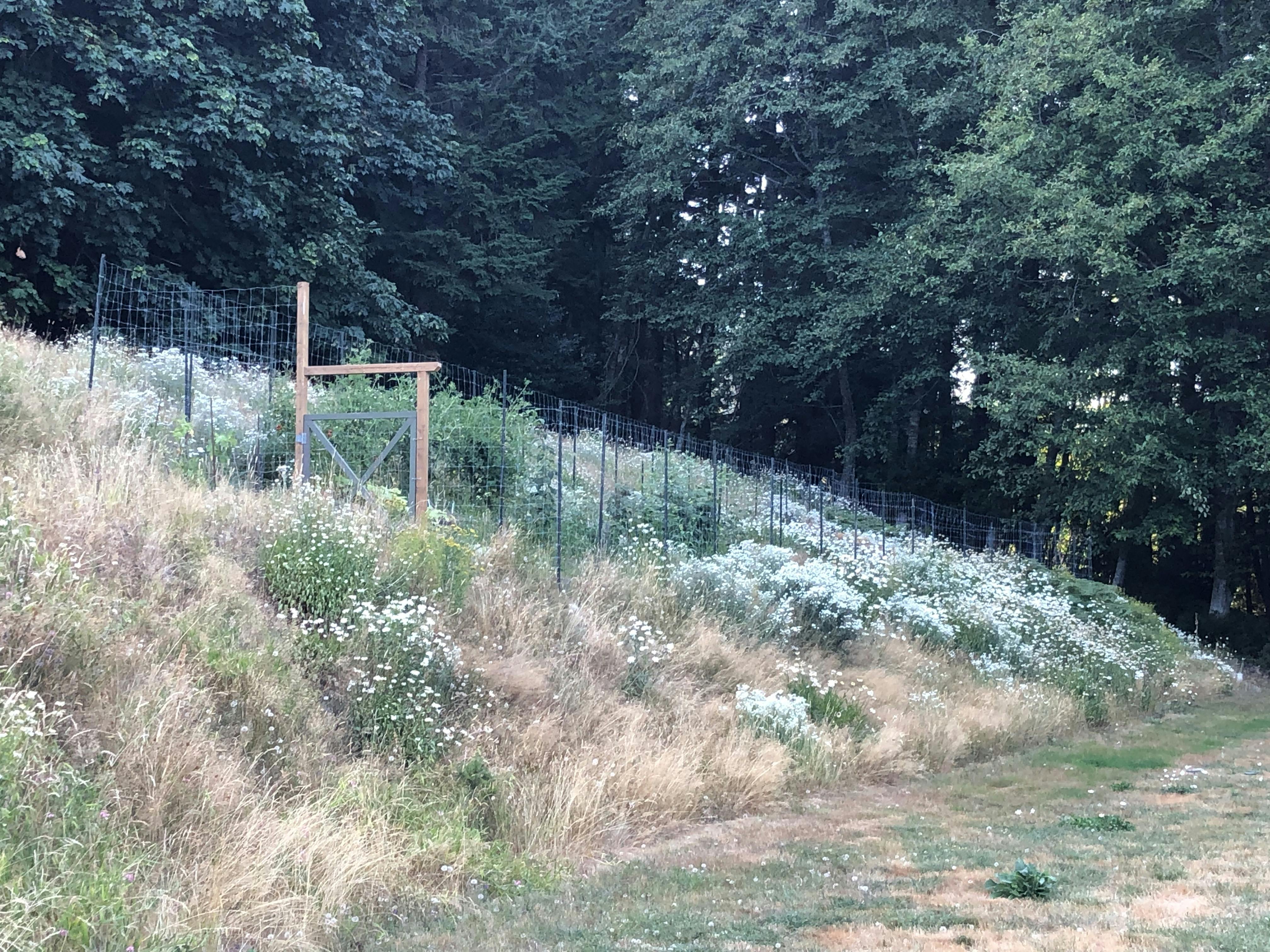 2021-08-03 18.34.33.jpg