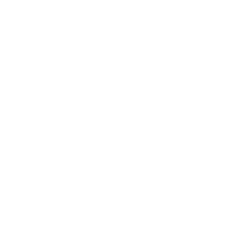 Mihail Dicusar Videography Logo .png