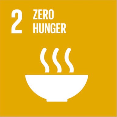 sdg02a.png