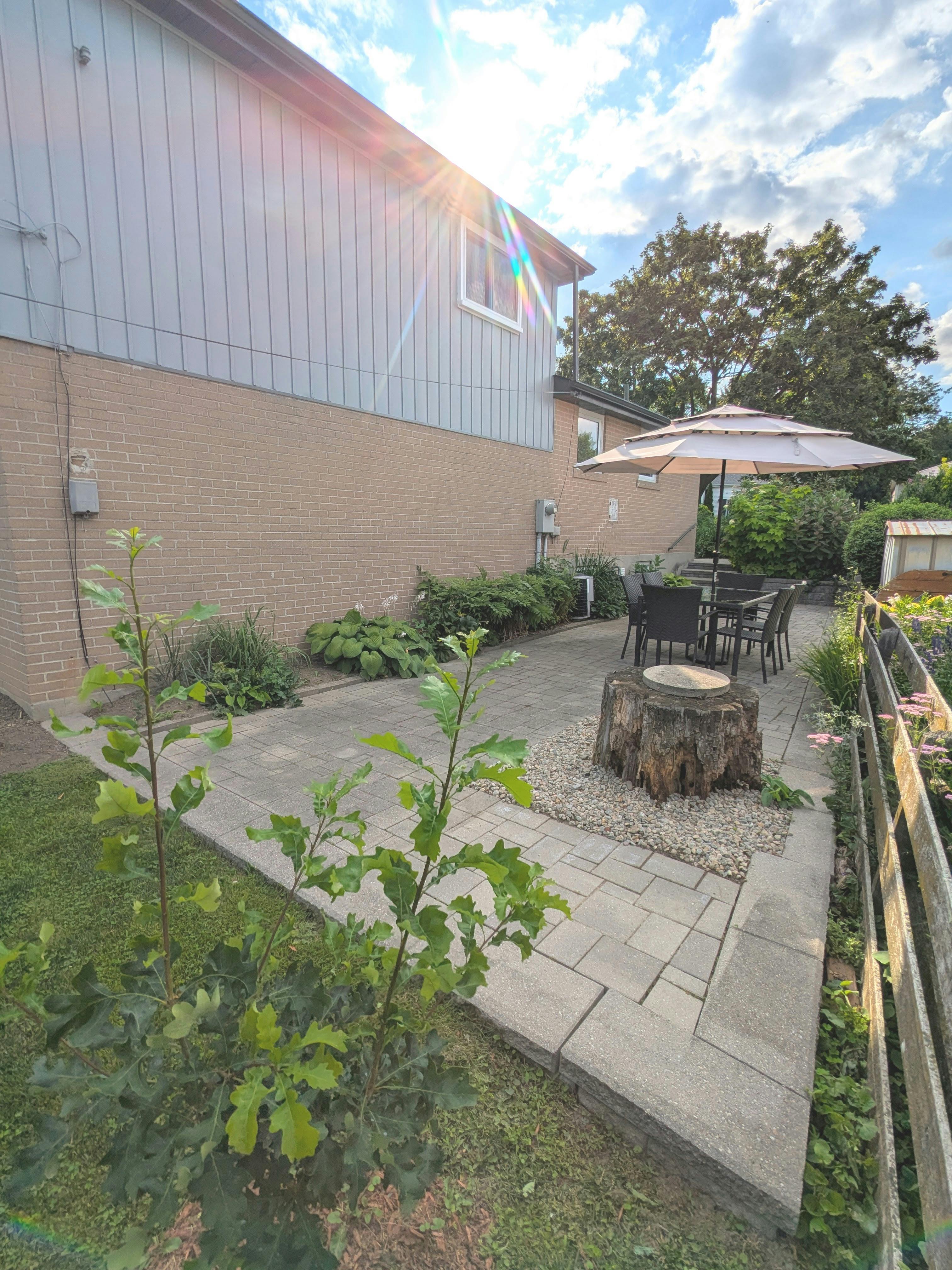 PXL_20240706_215748922 (1).jpg