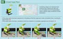 fll-challenge-cargo-connect-robot-game-rulebook.pdf 2021-08-19 at 9.38.25 PM.jpg