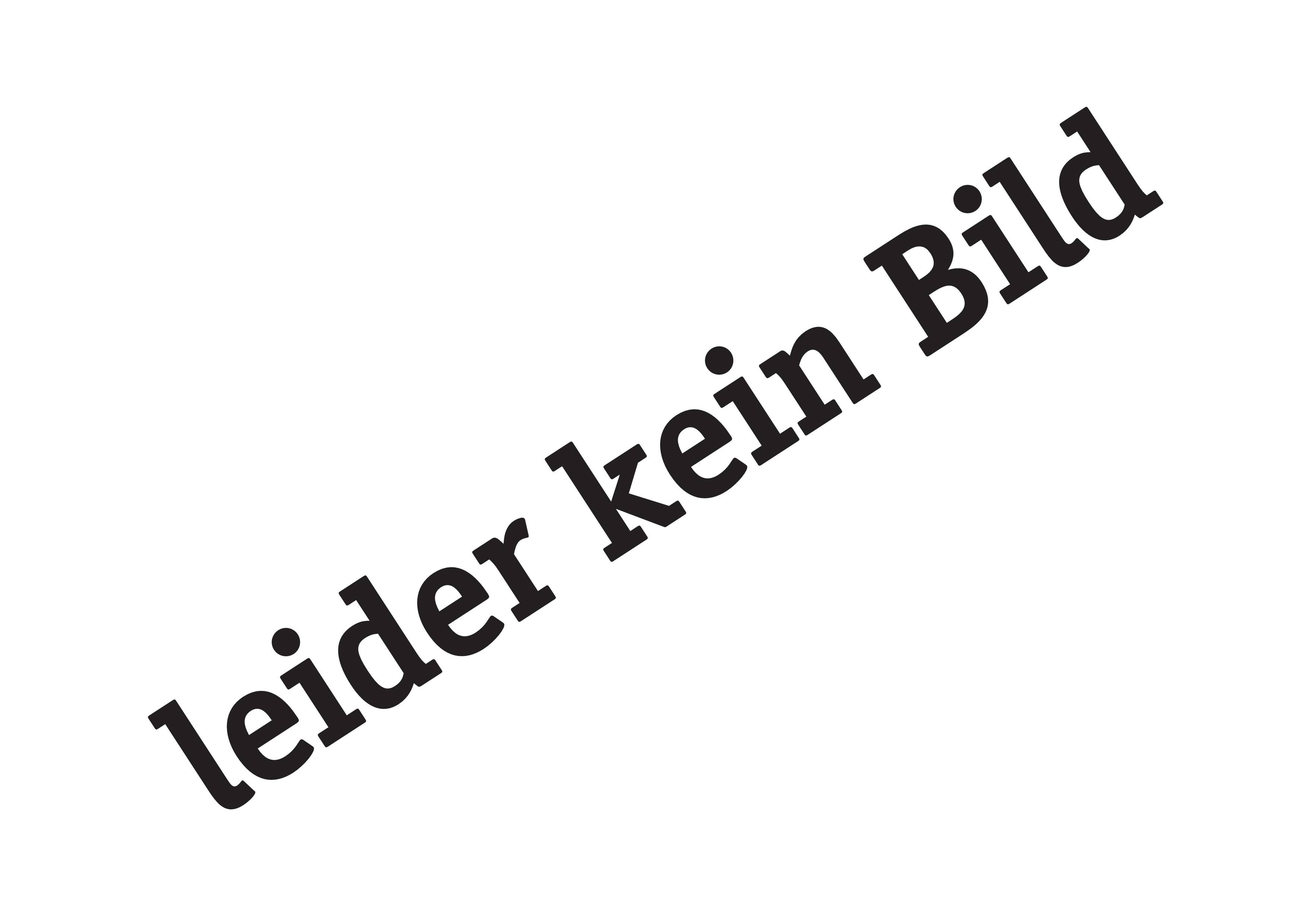 leider kein Bild.png