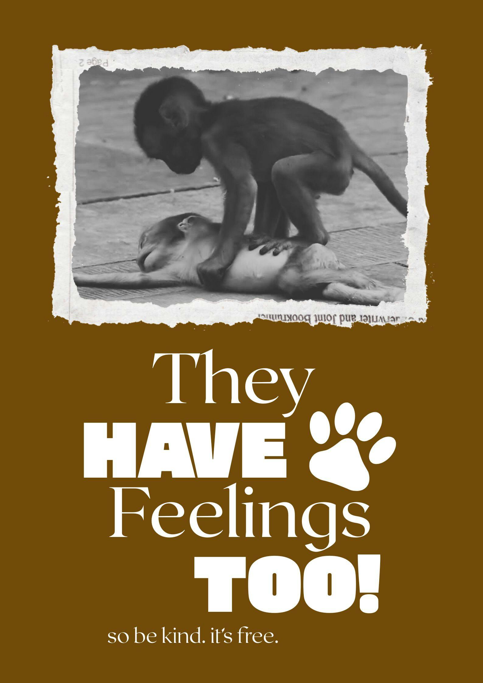 PURPCOM VISUALS (1).jpg