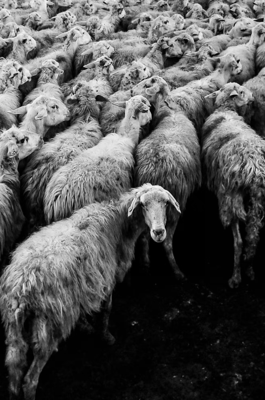 Screen Shot 2022-04-21 at 9.50.16 AM.png