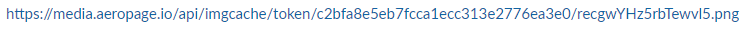 Untitled 1.png