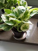 20201011_123035.jpg