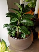 20201011_122938.jpg
