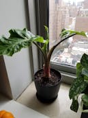 20201011_122931.jpg