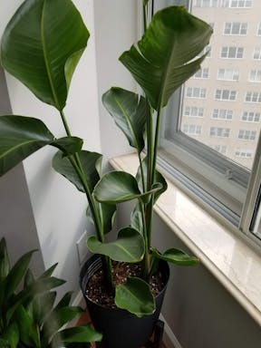 20201011_123433.jpg