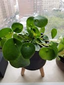 20201011_122908.jpg