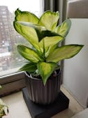 20201011_122859.jpg
