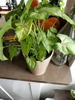 20201011_123013.jpg