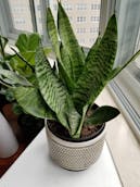 20201011_123406.jpg