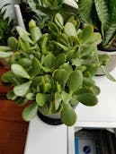 20201011_123353.jpg