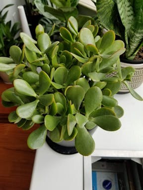 20201011_123353.jpg